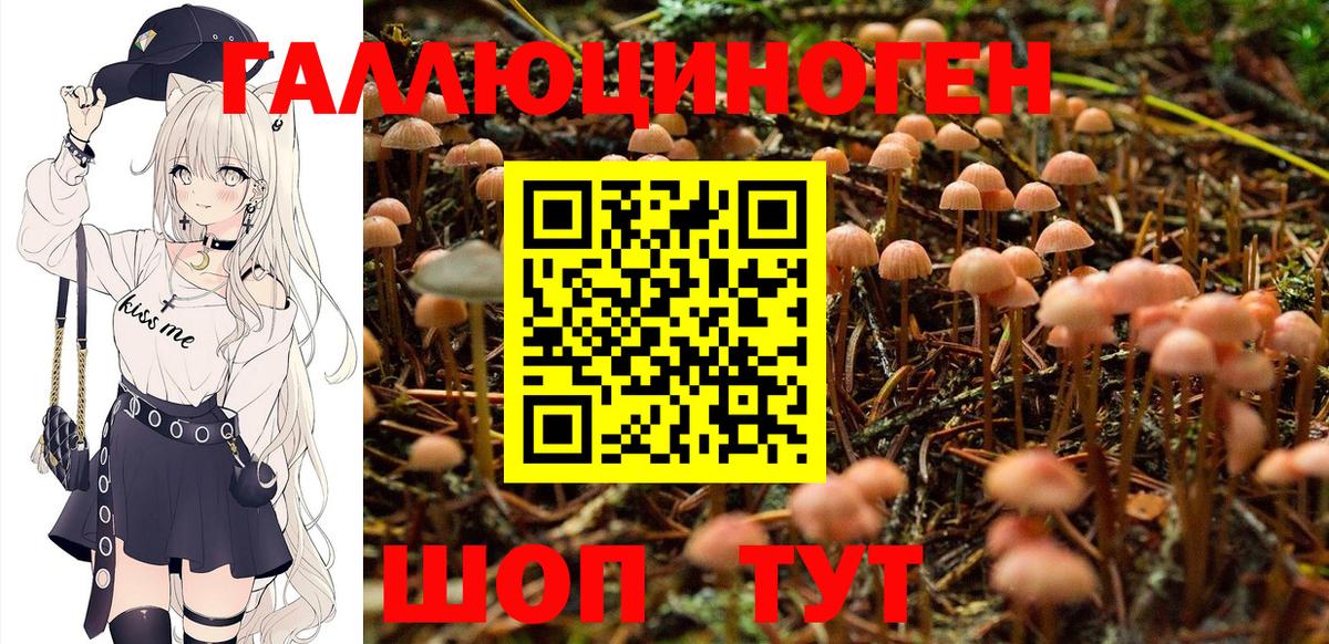 Ейск  Галлюциногенные грибы Magic Shrooms  Галлюциногенные грибы Magic Shrooms  Вход с VPN 