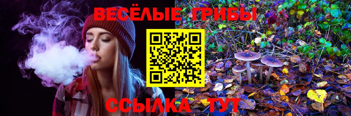 Псилоцибиновые грибы мухоморы Ейск
